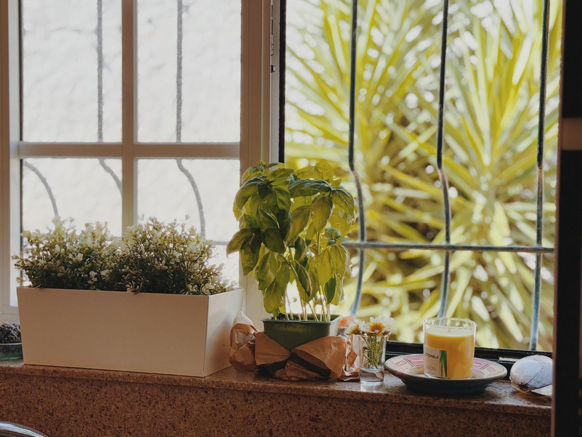 Coastal Garden Paradise Retreat- 6 Min From The Beach Charneca  Bagian luar foto