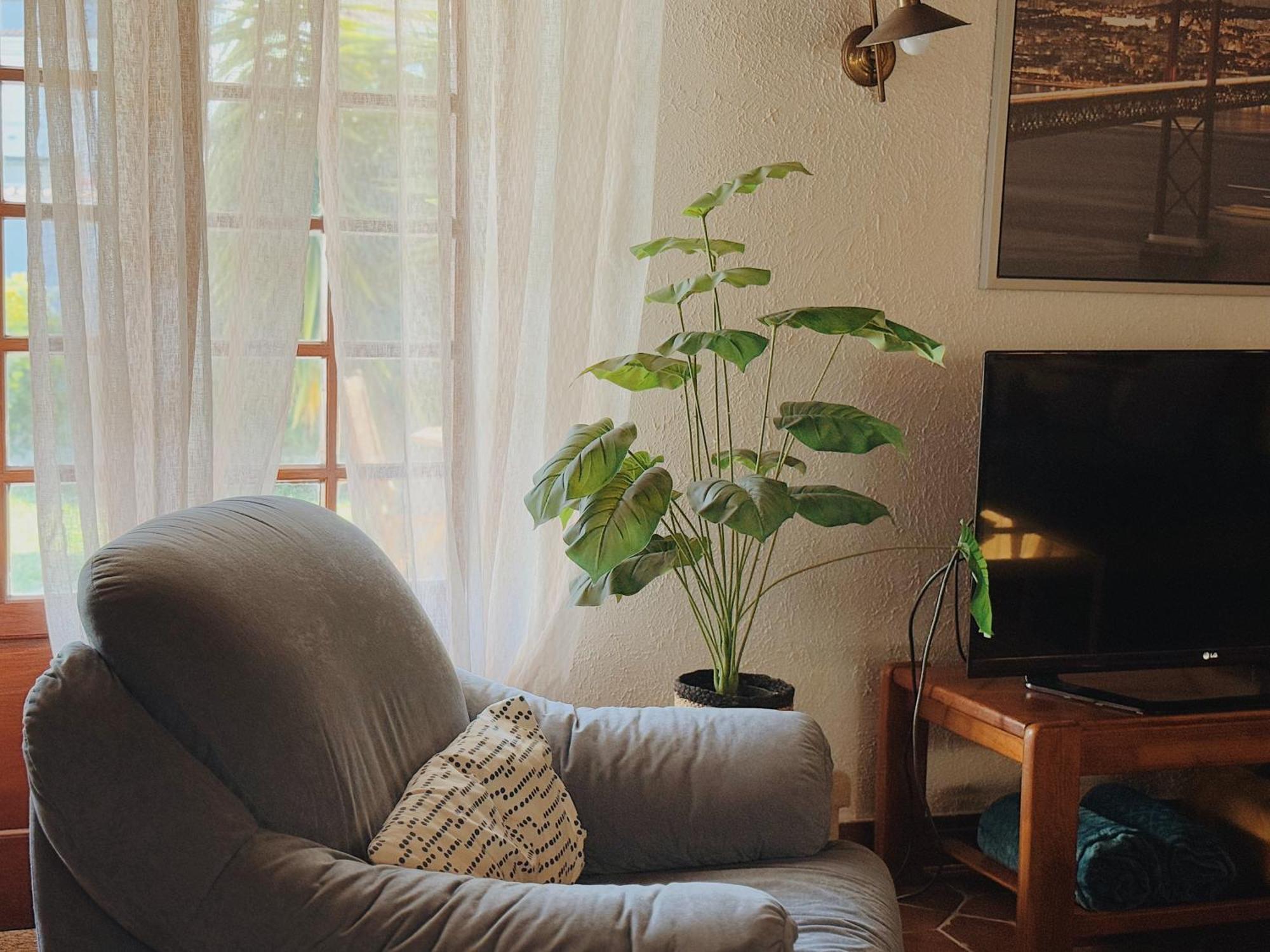 Coastal Garden Paradise Retreat- 6 Min From The Beach Charneca  Bagian luar foto